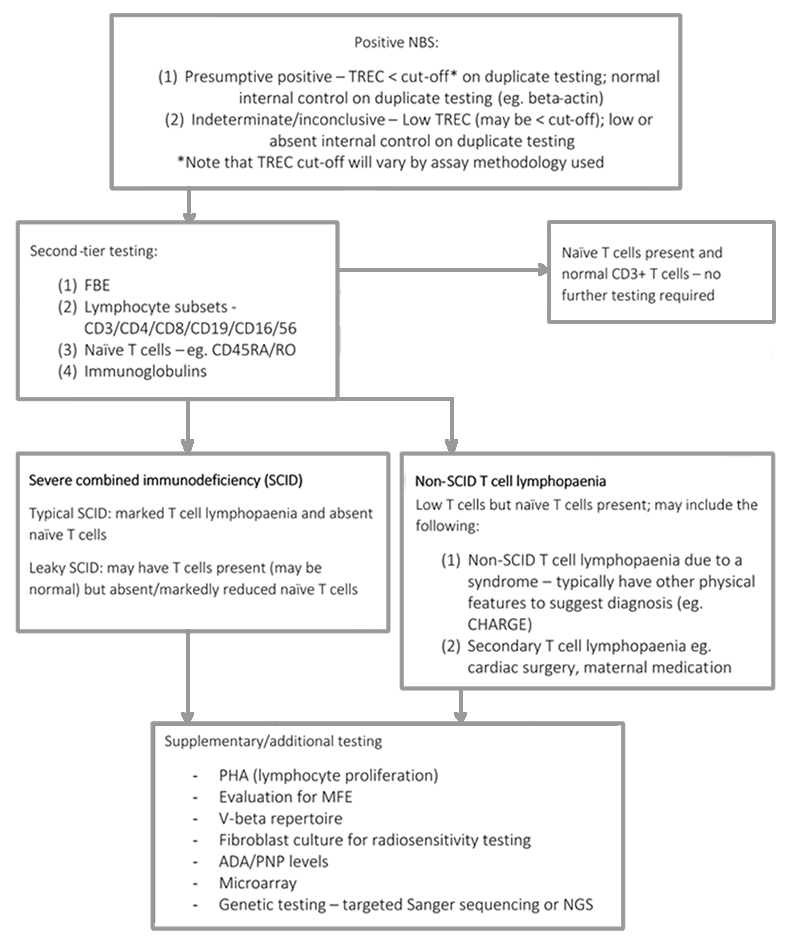 Diagnostic algorithm following positive NBS test