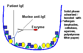 Allergy Blood Test Results Chart