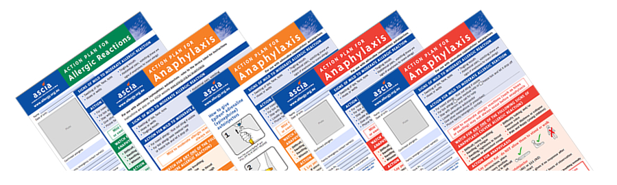 what is a research action plan