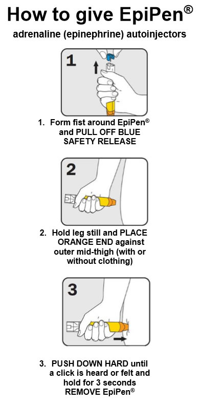 Epipen Chart