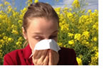 Updated ASCIA Treatment Plan for Allergic Rhinitis