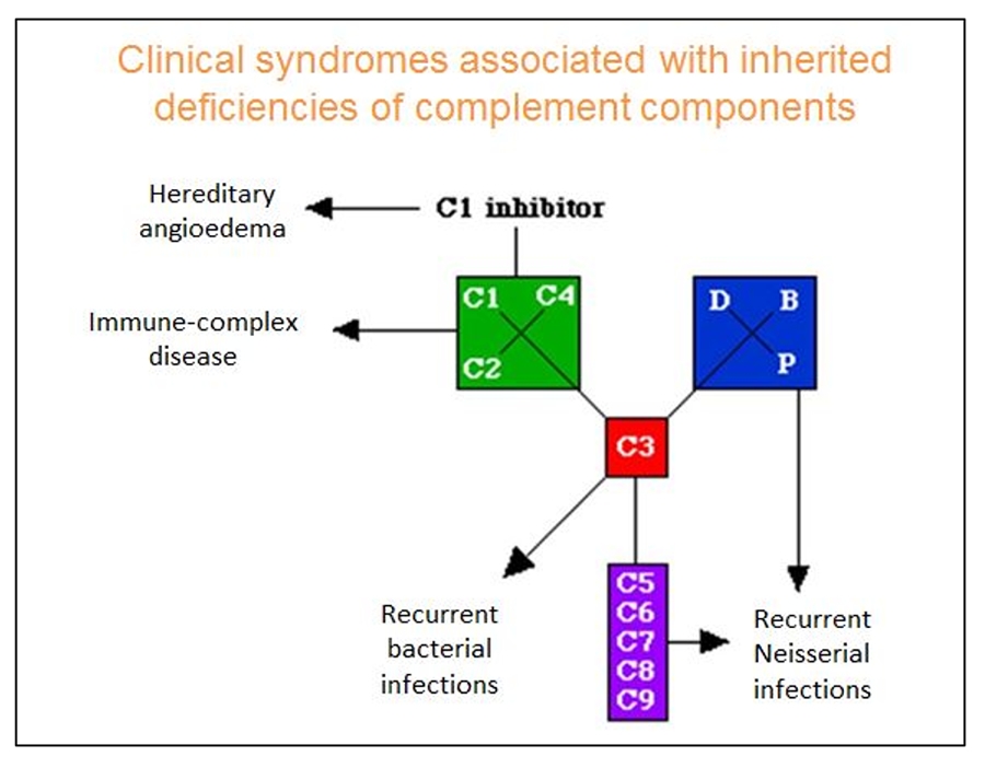 Clinical syndromes