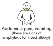 Abdominal pain, vomiting - these are signs of ANAPHYLAXIS for insect allergy
