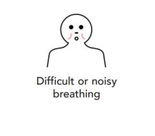 Difficult or noisy breathing